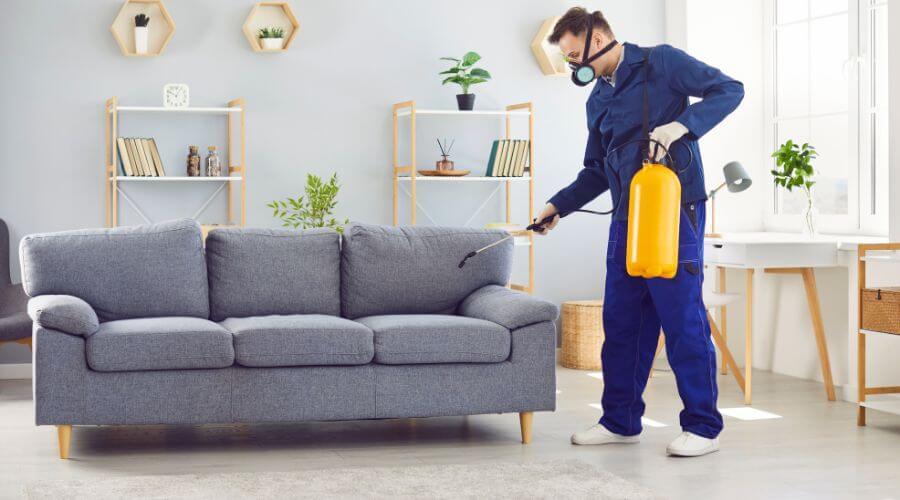 Why choose Millbury Bed Bug Heat Treatment for bed bug heat treatment in Millbury